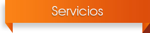 Servicios